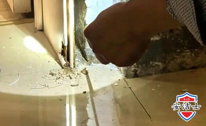 长宁区房屋建筑防治白蚁