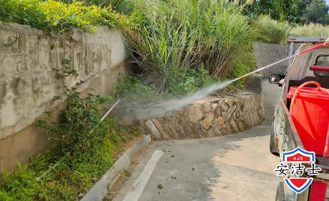 长宁区道路堤坝白蚁防治