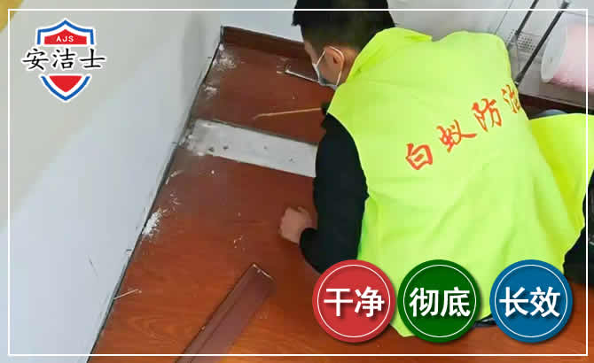 长宁区除四害现场