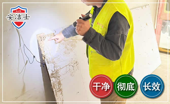 长宁区除白蚁现场