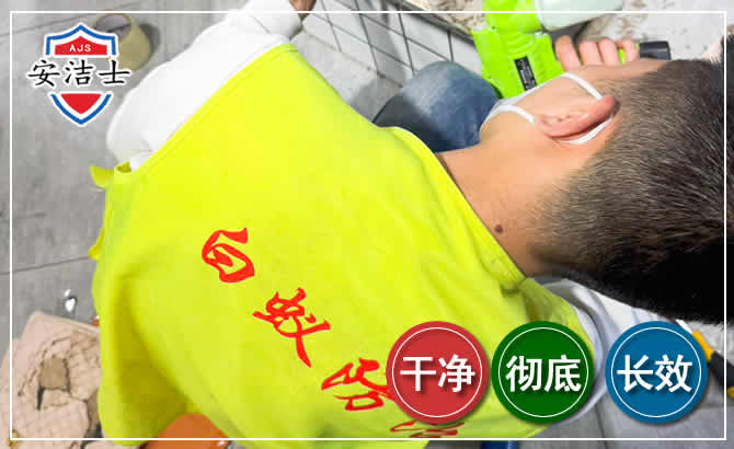 长宁区白蚁根治现场